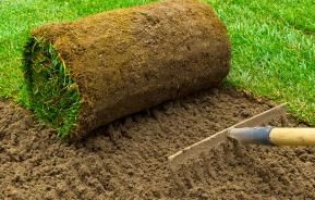 Lawn Care Calendar - Gardening tips