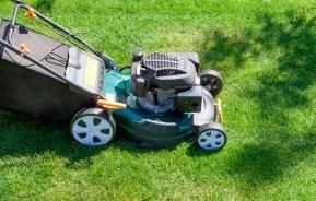 Summer lawn care