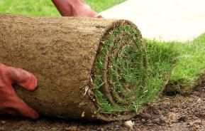 How to lay turf