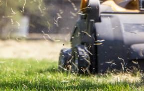 What a lawn scarifier is and how to use it