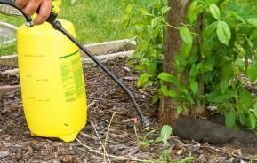 Weedkiller usage, storage and safe disposal