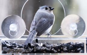 21 cool garden gadgets