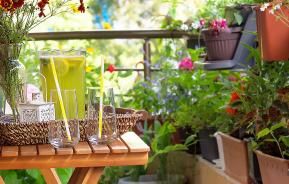 Fleurir Un Balcon Ou Une Terrasse