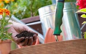 Add value to your house - sort out your garden