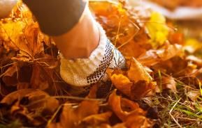 Clearing autumn leaves and putting them to good use