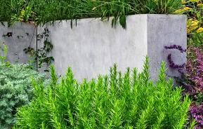 Concrete in your garden doesn’t have to be ugly