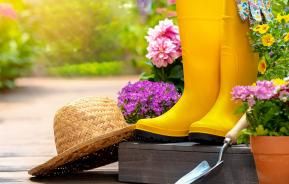 Getting your garden ready for summer