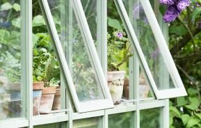 Top tips for greenhouse growing