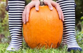 How to grow pumpkins for Halloween