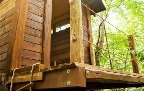 Une Cabane Dans Les Arbres