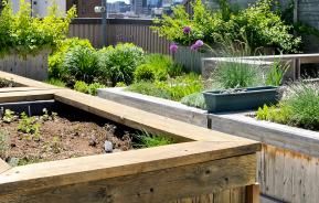 Son Potager En Carré Sur Un Balcon?