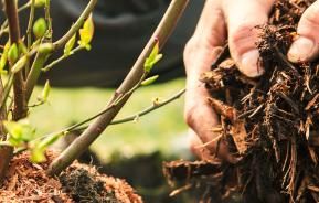 How to re-use compost bags and planters