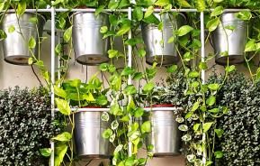 Vertical gardening ideas