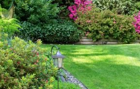 Comment Avoir Un Jardin Gratuit