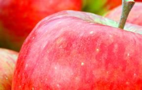 Apples (Malus domestica)