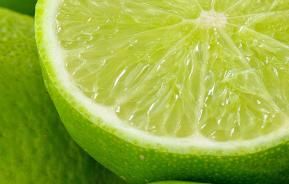Limes (Citrus x aurantiifolia)