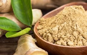 Common Ginger, Root Ginger (Zingiber Officinale)