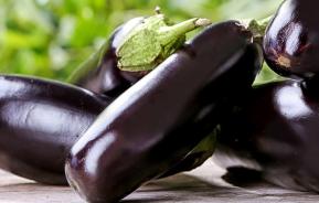 Aubergines (Solanum Melongena)