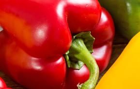 Peppers, Sweet Peppers, Bell Peppers (Capsicum annuum)