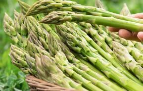 Asparagus (Asparagus officinalis)