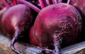 Beetroot (Beta vulgaris)