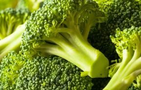 Broccoli (Brassica oleracea var. italica)