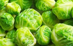 Brussels Sprouts (Brassica oleracea)
