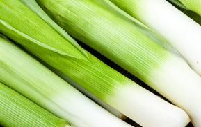 Leeks (Allium ampeloprasum)