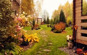 Un jardin d'automne pour 100€