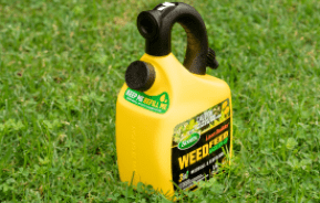 The simple solution for killing lawn weeds - Weed, Feed & Green-Up