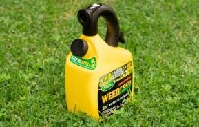 The simple solution for killing lawn weeds - Weed, Feed & Green-Up