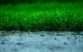 Mowing a Wet Lawn and Other Wild Weather Tips