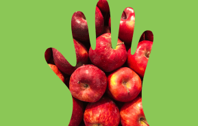 The Right Fruit For Your Climate Zone