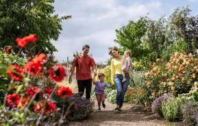 Floral Fantasia at RHS Garden Hyde Hall
