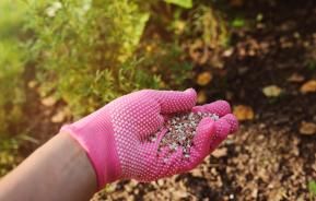 understanding fertilisers