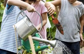 Les enfants s'initient aux produits Substral Naturen au potager