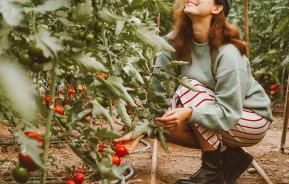 Moestuin met Substral - Potager avec Substral - Love The Garden