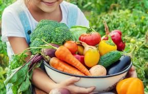 Bol avec de délicieux légumes du potager qui ont été protégés contre les invités indésirables