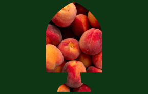 Everything you need to know about stone fruits