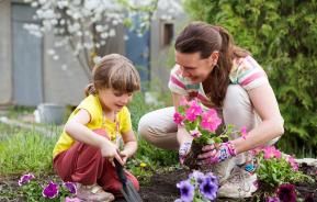 Staying safe while you garden: how to minimise health risks