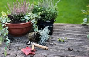 Getting your garden spring ready