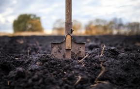 Enriching your garden soil