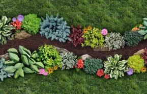 Feeding plants and borders