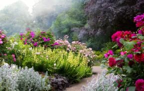 borders aanleggen in de tuin