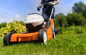 A person mowing the lawn with plants and shrubs in the background