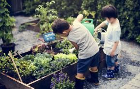 Gardening with children