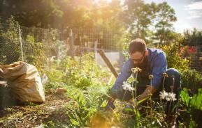 Why is gardening good | David Domoney | Miracle Gro