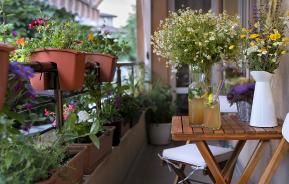 balcony garden