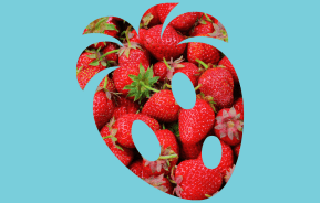 Companion Planting for Fruit & Citrus Trees