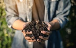 How to make organic compost